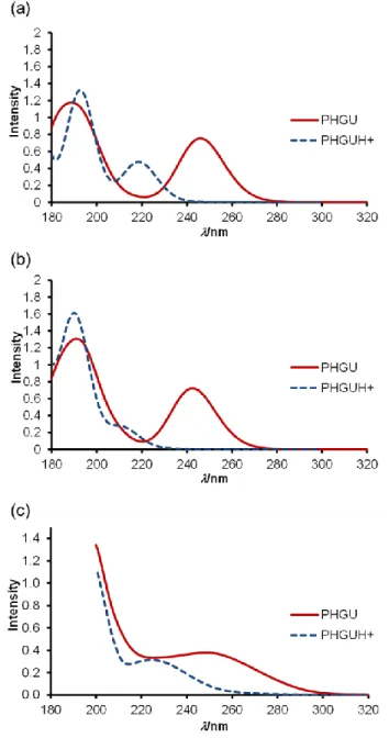 Figure 2. Comparison between UV/Vis spectra of neutral and protonated PHGU: (a) Theoretical 