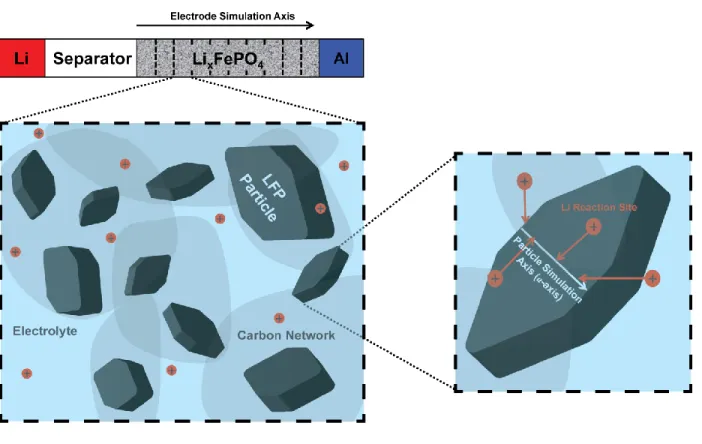 Fig.  3:  Schematic  of  the  combined  porous  electrode  and  phase-field  model.  We divide the  LFP electrode into 10 representative volumes, each containing 10 LFP particles immersed in a  liquid  electrolyte  and connected electronically through the 
