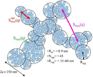 Figure 12 : Modèle de représentation de la structure multi échelle de nanocomposites de silice [27] 