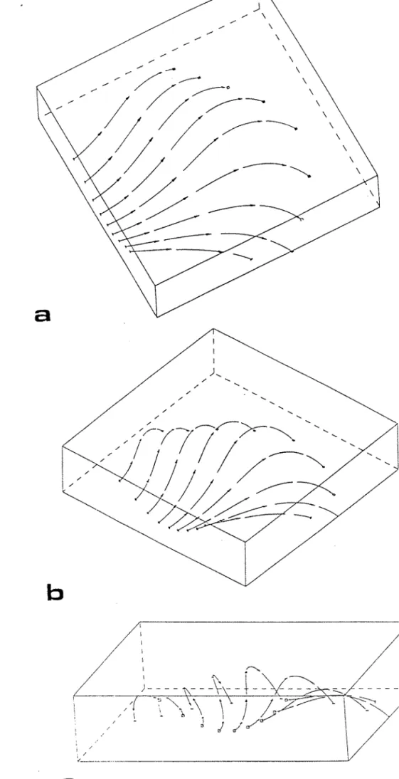 FIG.  12  Trajectoires  de  linéation  en  trois  dimensions 