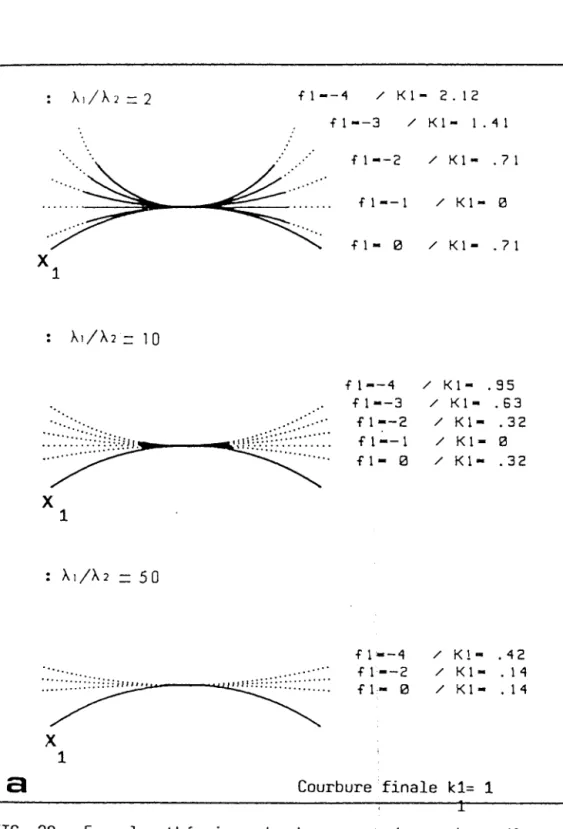 FIG.  29  Exemple  théorique  de  changement  de  courbure  d'une  trajectoire  parallèle  à  l'étirement  maximal 