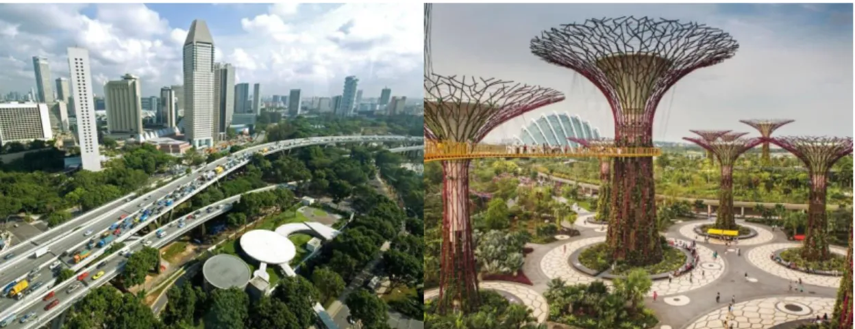 Figure 13 : Singapour, une ville verte (A), avec ses emblématiques arbres géants du Garden by the  Bay (B)