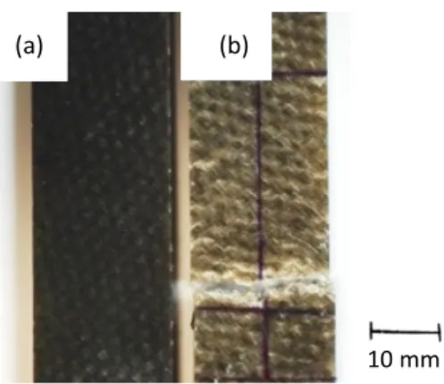 Fig. 5. (a) Device used to make microtomographic scan of a ± 45 hemp/epoxy (Oleron/Epolam) composite sample in water and (b) Micro-CT image of the sample in water.