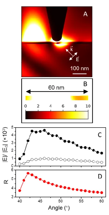 Figure 3. A) FDTD spatial distribution of the electric field magnitude |E|/|E 0 | when a silver tip is  positioned 1 nm above a 5 nm-thick molecular layer deposited on a 10 nm-thick Au layer, for a  561  nm  light  excitation  in  TIR  (with  a  46°  incid