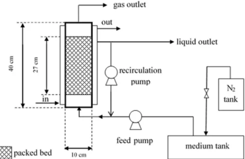 Fig. 1 e Packed bed biofilm reactor for continuous biohydrogen production.