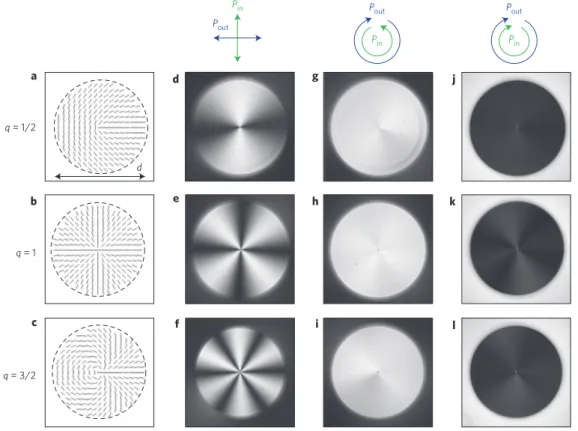 Figure 1 | Comparison of the various kinds of ORT produced by circularly polarized Gaussian beams