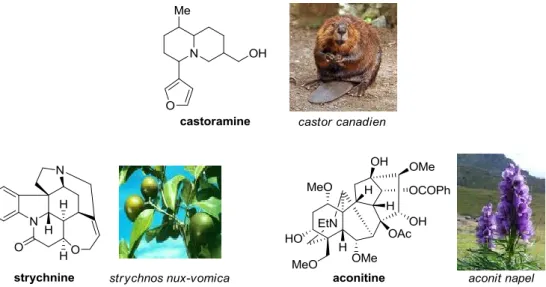 Figure 4 : Exemples d’alcaloïdes issus de plantes ou de mammifères 