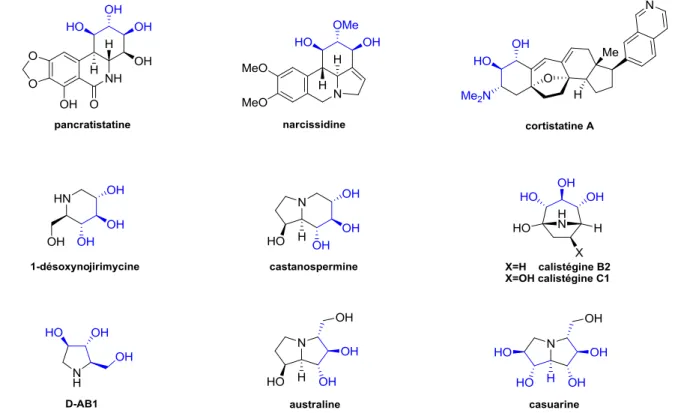 Figure 7 : Exemples d’alcaloïdes comportant le motif trans-trans 