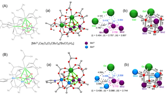 Figure  13:  Structures  of  the  synthetic  [Mn IV 3 Ca 2 O 4 (O 2 C t Bu) 8 ( t BuCO 2 H) 4 ]  cluster  isolated  by  Christou  and co-workers [180] (A) and [Mn 4 CaO 4 (O 2 C t Bu) 8 ( t BuCO 2 H) 2 (py)] cluster isolated by Zhang, Dong and  co-workers 