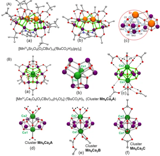 Figure  14.  Molecular  structures of the Mn 6 Ca(Sr) 2  clusters  isolated  by  Zhang, Dong and  co-workers  [182, 183]