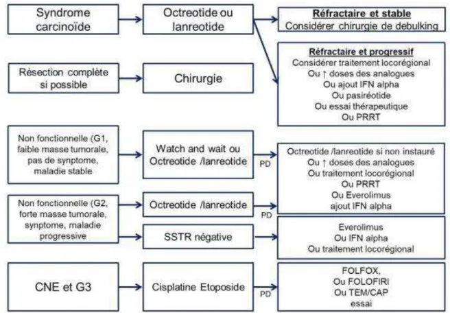 Figure 7 : Recommandations de prise en charge des TNE intestinales métastatiques   