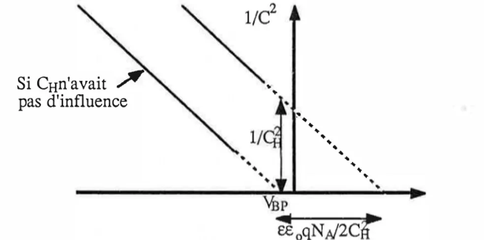 Fig. 1-6: Influence de la capacité de Helmholtz selon Gomes et coll. 