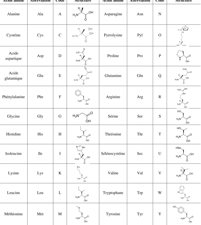Tableau I.3:  Liste des acides aminés, leurs abréviations et leurs formules 