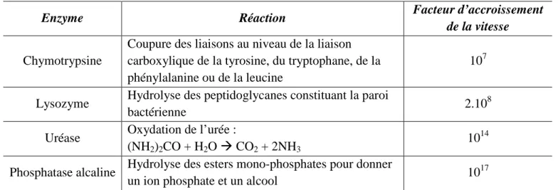 Tableau I..4 : Quelques exemples de facteur d’accroissement de vitesse réactionnelle en présence d’enzymes 
