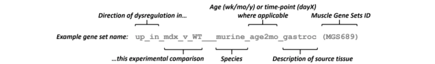 Fig. 1 Naming convention for Muscle Gene Sets. Each name was chosen to be both succinct and readily understandable