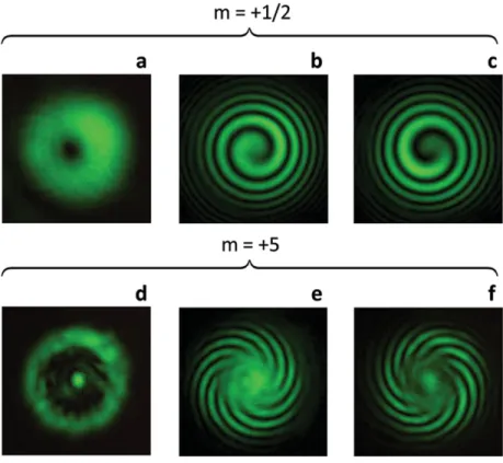 Figure 3.      Experimental intensity pattern of the circularly polarized component of the output  vortex fi eld whose polarization state is orthogonal to the incident circularly polarized Gaussian  beam in the case of a) m = 1/2  and d) m = 5