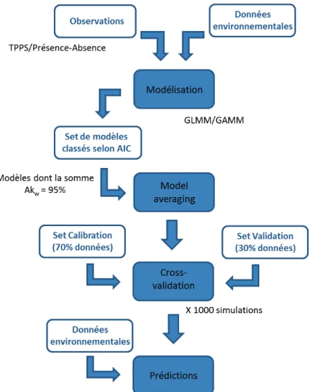 Figure 13. Procédure de modèle averaging utilisée pour la sélection, la calibration et la prédiction  appliquées aux modèles de distribution