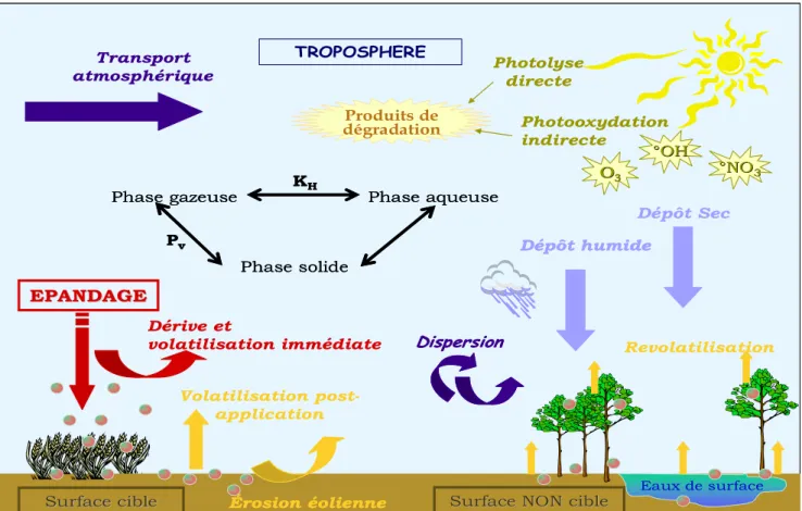 Figure II.4 : Comportement des pesticides dans l’atmosphère 