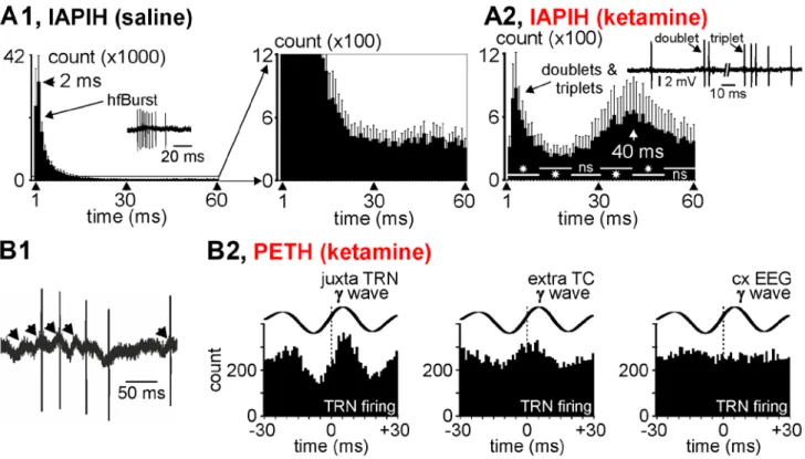 Figure 5: Thalamic reticular nucleus firing related to gamma-frequency oscillations. (A1, A2) Averaged cumulated inter- inter-AP interval histograms (Iinter-APIH) from 5 juxtacellularly recorded TRN cells (from 5 rats) under the control (A1) then the ketam
