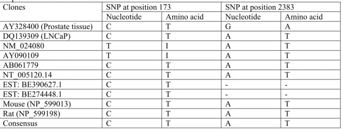 Table 1. Single nucleotide polymorphism (SNP) comparison of different TRPM8 ORF with the TRPM8  sequence cloned from LNCaP cells