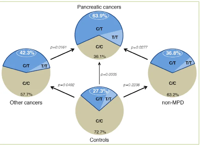 Figure  1.  Schematic  representation  of  SNP  rs488087  occurrence  in  different  groups