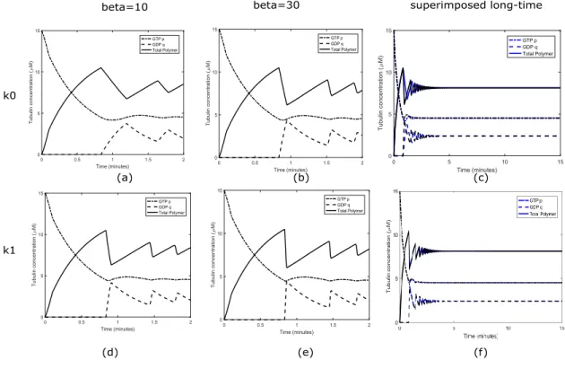 Figure 5: Examination of tubulin concentrations for varying β ∞ and k i .