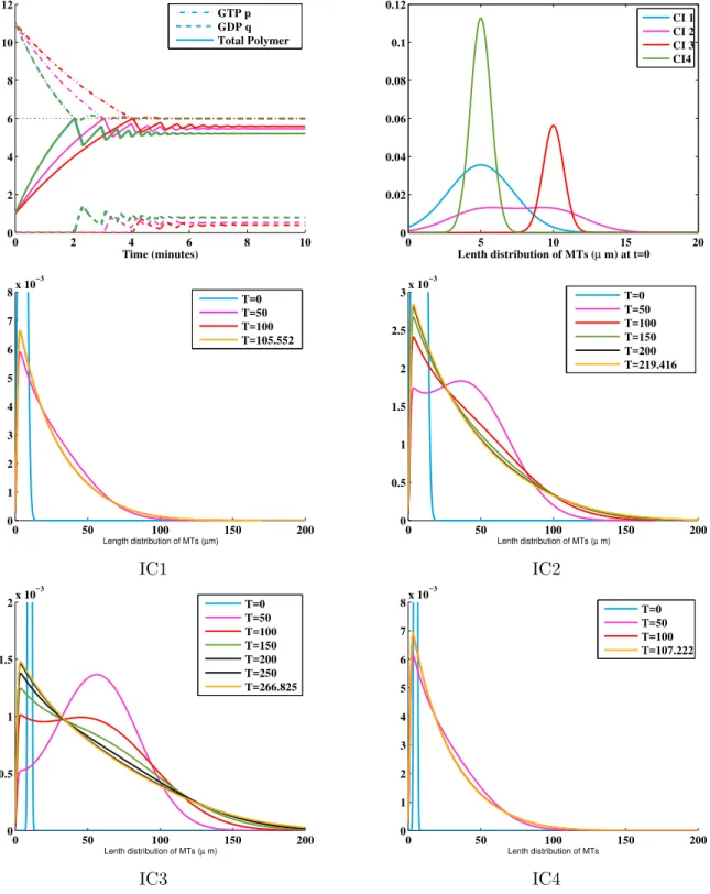 Figure 10: Upper left: Time evolution of the macroscopic quantities p(t), q(t) and the mass R