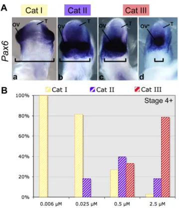 Fig. 2. Cyclopamine causes cyclopia in a dose-dependent manner.