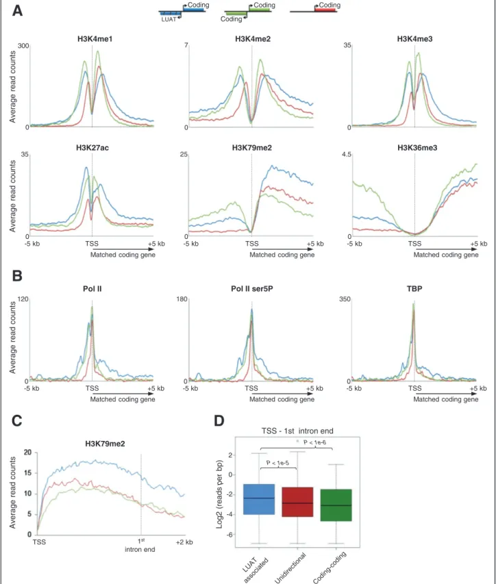Figure 6 Chromatin characteristics of LUAT-associated promoters in DP thymocytes. Average profiles of ChIP-seq signals of the indicated histone modifications (A) and general transcription factors (B)