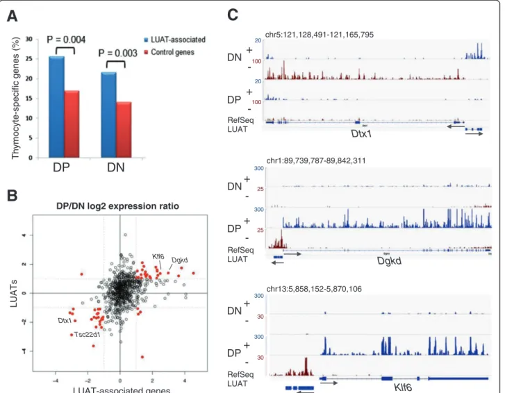 Figure 3 Regulation of LUAT and associated genes during early T-cell differentiation. A) Percentage of thymocyte-specific genes in the LUAT-associated gene sets from either DP or DN ( Δ Rag) thymocytes or in control sets of similarly expressed genes (see M