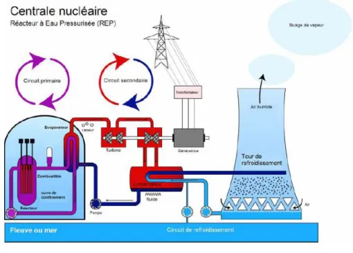 Figure 1 : Schéma de principe du fonctionnement d'une centrale nucléaire de type REP. 
