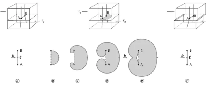 Figure 13 : Multiplication des dislocations par le mécanisme de Franck et Read [25]. 