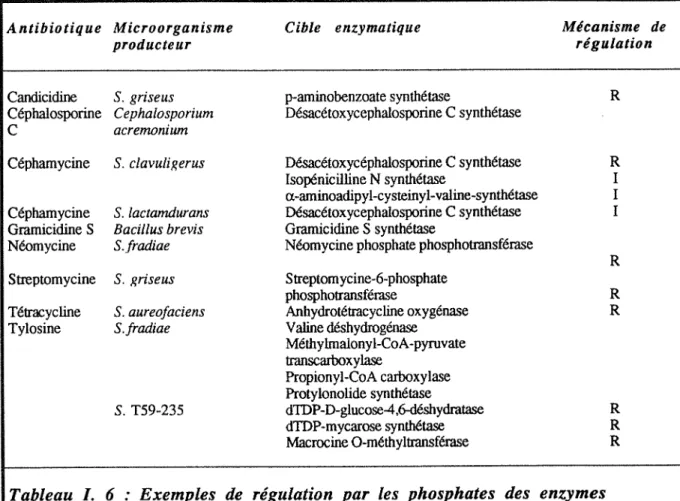 Tableau  1.  6  :  Exemples  de  régulation  par  les  phosphates  des  enzymes  impliquées  dans  la  biosynthèse  des  antibiotiques 