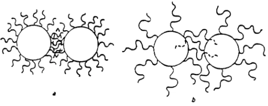 Figure I.8.  illustration schématique des deux aspects de la repulsion stérique. 
