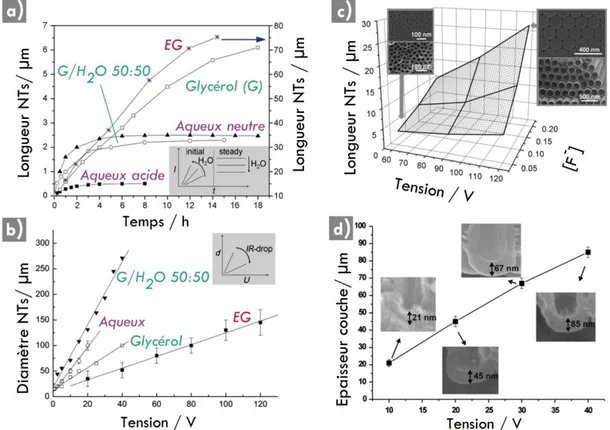 Figure 1.11.   Influence des paramètres d’anodisation sur la morphologie des NTs. (a)  Evolution de la longueur des NTs en fonction du temps d’anodisation dans différents  électrolytes (60 V dans EG et 40 V dans les autres)