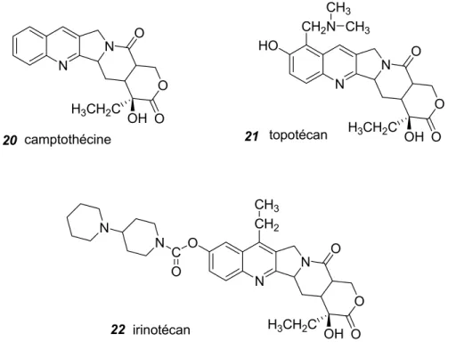 Figure 15 : Camptothécine et ses analogues apparentés structurellement 