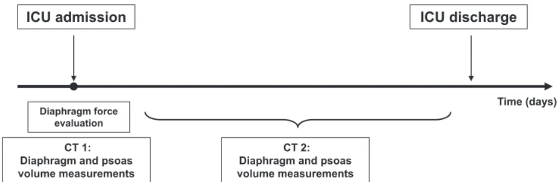 Fig. 1. Design of the study. Diaphragm force evaluation and the first computed tomography (CT) volume measurement were  performed upon intensive care unit (ICU) admission