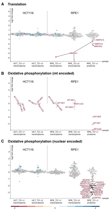 Figure 8. Scatterplots of Translation, mitochondrial- as well as nuclear components of Oxidative phosphorylation of trisomy 21 cells
