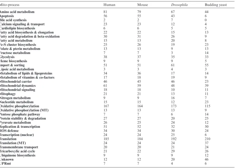 Table 1. Mito-processes and number of associated mito-genes in human, mouse, Drosophila and budding yeast