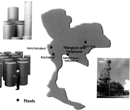 Figure 3.5:  Paper Plants