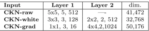 Table 1: For each layer we indicate the sub-patch size, the subsampling factor and the number of filters