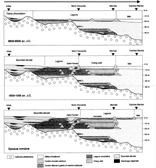 Fig.  16)  et  -17  m  (log  de  S 4 )  ont  permis  d’identifier  deux  phases  d’arrêt  dans  cette  période  de  transgression  vers  10000  BP  et  6000  BP  respectivement