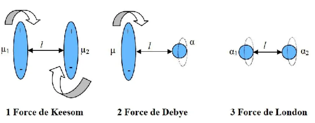 Figure I.2-5 : Les trois types d’interactions de Lifshitz-van der Waals, d’après Boutaleb (2007)
