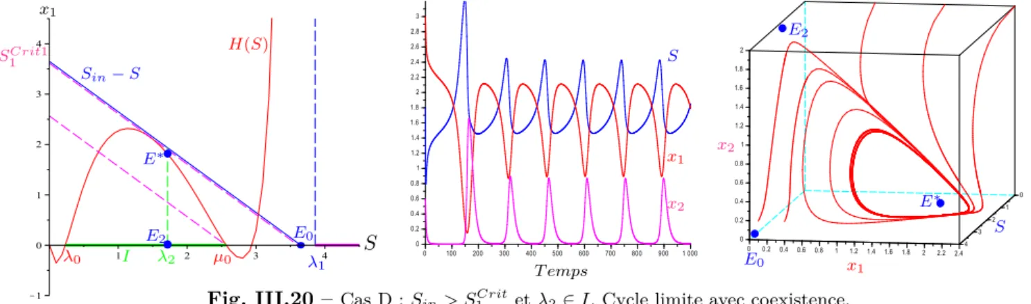 Fig. III.20 – Cas D : S in &gt; S 1 Crit et λ 2 ∈ I. Cycle limite avec coexistence.