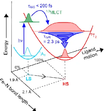 Figure  7.  Schematic  representation  of  the  proposed  reaction  pathway  of  SCO  in  configuration  space