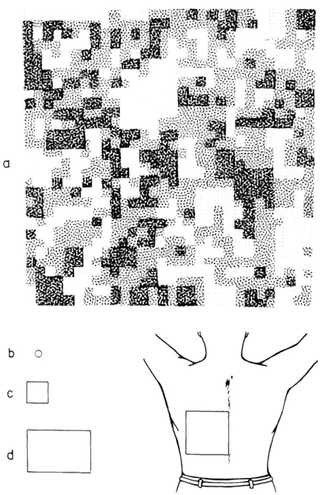 Fig.  XX-8.  Distribution  of  sensitivity  to  cold  on  a  quadrant  of  the  back.  P  shows the  sensitivity  distribution;  the  square  drawn  on  the  back  (lower  right) represents  the  area  stimulated
