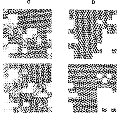 Fig.  XX-10.  The  first  three  maps  of  cold  sensitivity  were  made  in  the  morning  and  the ....