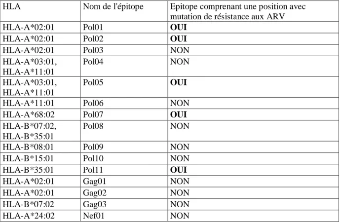 Tableau  4 :  Liste  « Optimal_Provir »  décrivant  les  épitopes  d’intérêt  en  fonction  des  HLA  étudiés