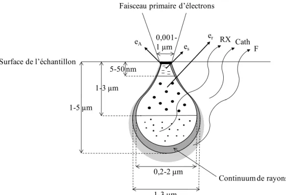 Figure 2.4 Schéma simplifié des interactions faisceau primaire – échantillon (e A  :  électrons Auger ; e s  : électrons secondaires ; e r  électrons rétrodiffusés ; RX : rayons X ;  Cath : cathodoluminescence ; F : fluorescence X secondaire)