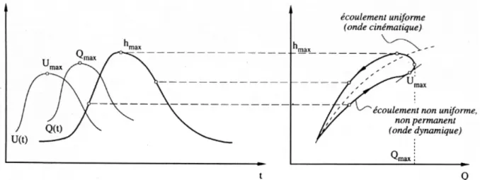 Figure 18. Illustration du phénomène d’hystérésis pour un écoulement non permanent, non uniforme (Blanckaert, 2010)